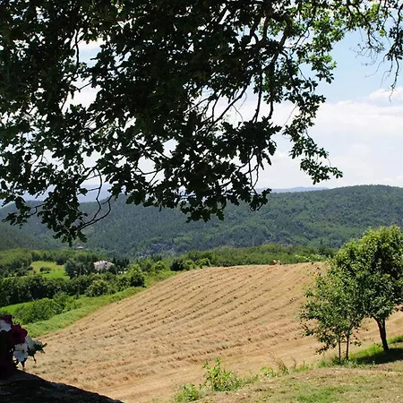 Del Viandante