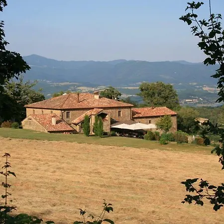 Del Viandante Anghiari