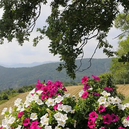 Bed & Breakfast Del Viandante Anghiari