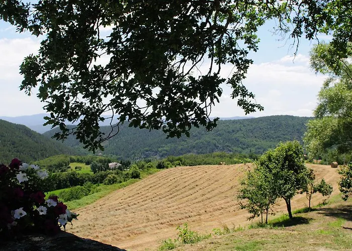 Del Viandante